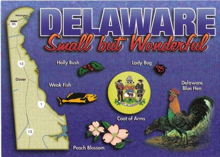 Delaware Wonderful